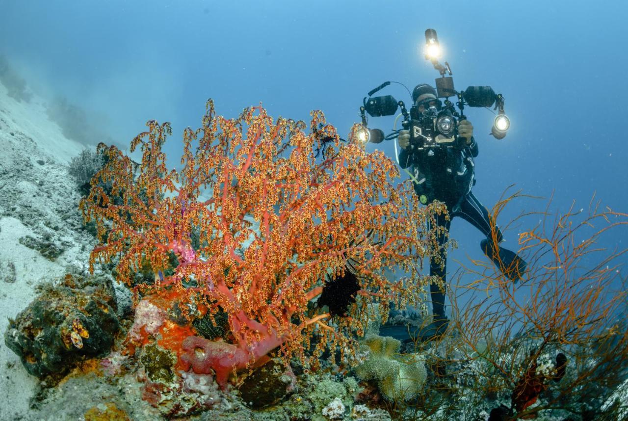 The Three P Beach Resort & Dive Center Agnay المظهر الخارجي الصورة